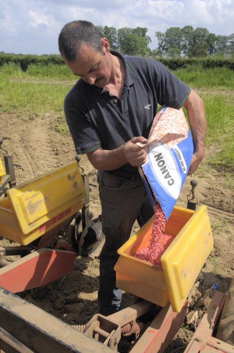 Les variétés nouvelles et récentes de maïs fourrage sont maintenant toutes indexées sur la valeur énergétique.