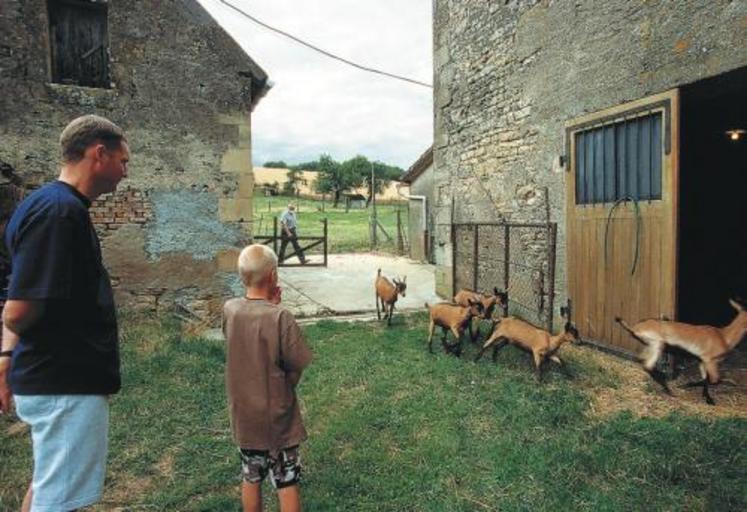 Aujourd'hui dans le département de la Manche, plus de 25 agriculteurs ouvrent régulièrement leur ferme au public.