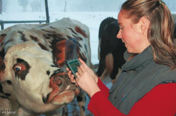 Les femmes sont relativement plus nombreuses à s’installer en élevage laitier que dans les autres secteurs de production.