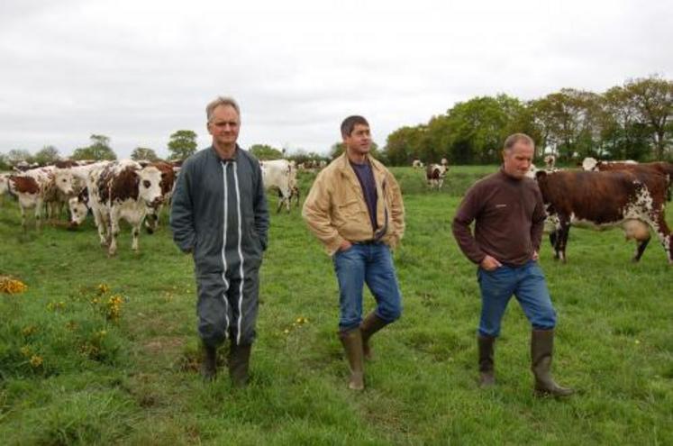 Des parcelles dimensionnées à la taille du troupeau : 2 à 4 hectares. De gauche à droite : Philippe Clérot (éleveur), Fabien Bregeault (Contrôle laitier) et Emmanuel Clérot (éleveur).
