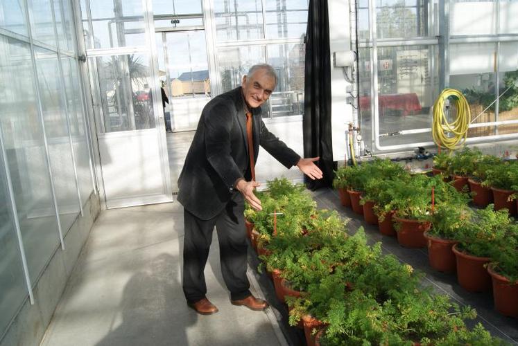 Gilbert Larsonneur, directeur du Sileban, explique l’importance des essais (carottes) contre la Nématode dans la serre scientifique