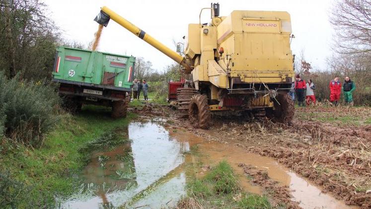 La moissonneuse batteuse à chenilles a travaillé 150 heures dans le Bessin.