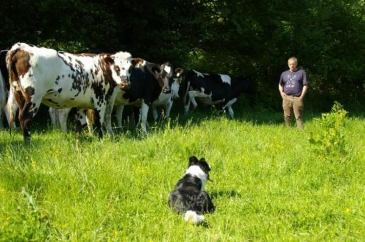 Une des clés de la réussite : la stratégie de position troupeau/maître/chien.