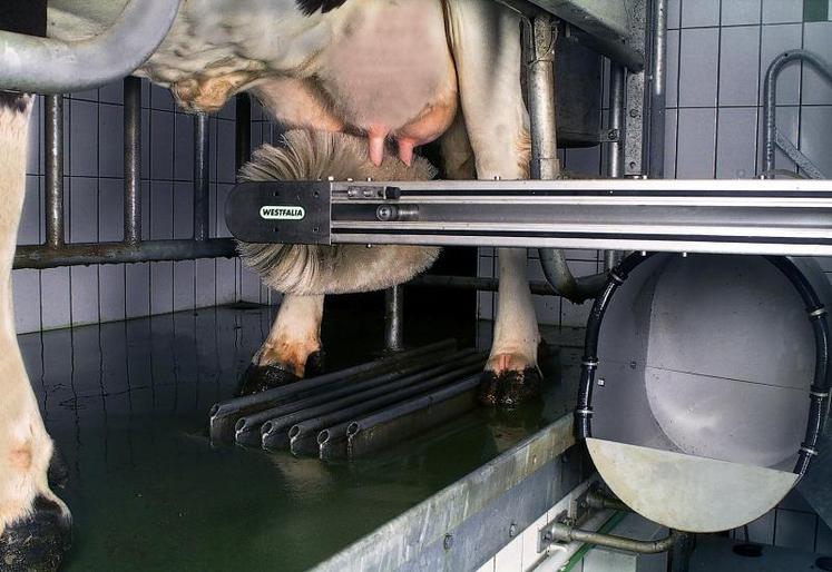 Un robot de traite consomme en moyenne 31 équivalent litre de fuel (EQF) par 1000 litres de lait produits. Un bloc de traite traditionnel consommera en moyenne 16 EQF/1000 l de lait.