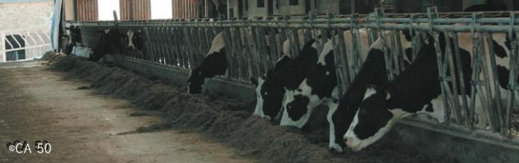 Le système d’alimentation des vaches laitières s’avère efficace, même si la croissance faible de l’herbe au printemps 2011 a généré une utilisation des stocks et concentrés plus soutenue que les objectifs.