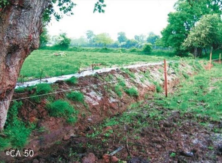 L'agriculteur Se Tient Avec Une Pelle Dans Le Jardin Préparation