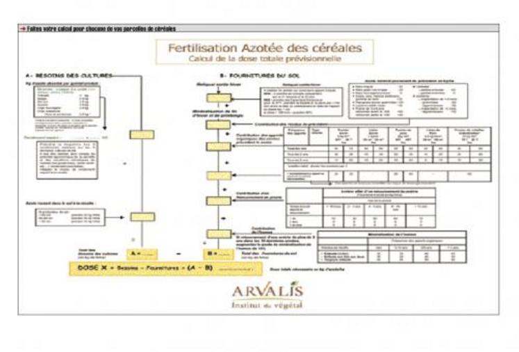 Stratégie de fertilisation du blé : les besoins en azote