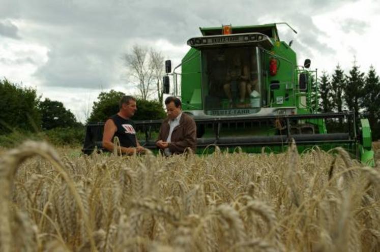 Dans notre région, la récolte est perturbée par la pluie comme ici dans l'Orne le 7 août dernier. Cette parcelle de triticale devra attendre encore quelques jours.