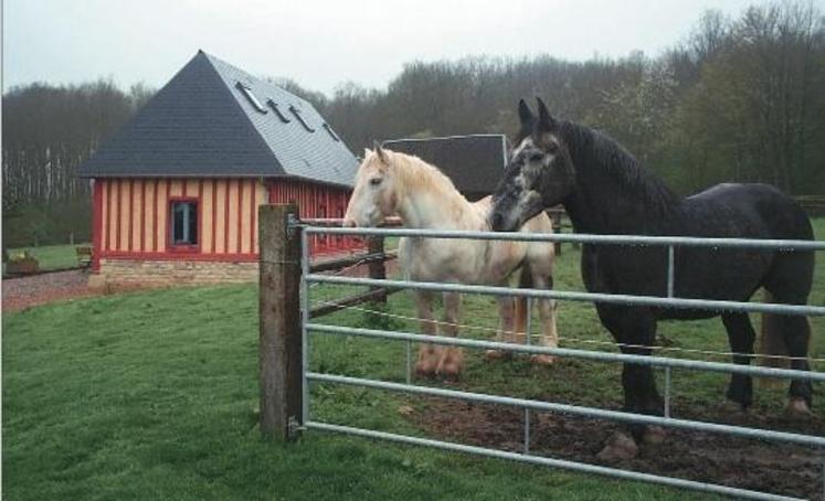 Le projet “Accueil cheval” est d’autant plus important que de tels hébergements seront nécessaires dès 2014 pour les Jeux Equestres Mondiaux qui se dérouleront en Normandie.