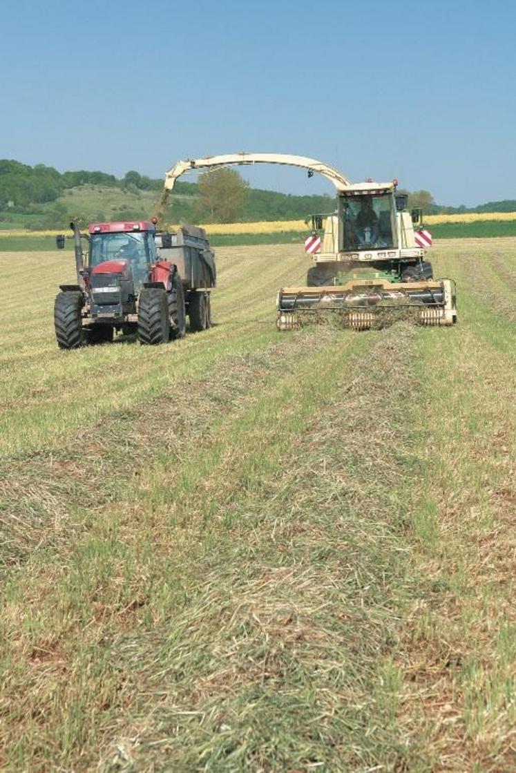 La recherche du compromis entre rendement, valeur alimentaire et bonne conservation au silo amène à faire des choix.