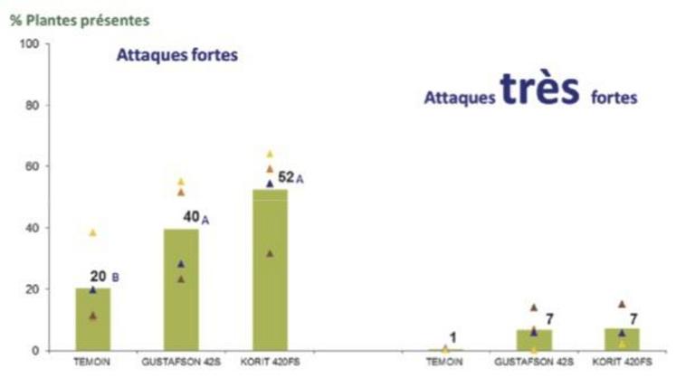 Graphique 3 - Efficacité des traitements de semences du maïs contre les corvidés, selon le niveau d’intensité des attaques 8 essais au champ (7 essais avec corneilles noires, 1 essai avec corbeaux freux) - 2011/2015