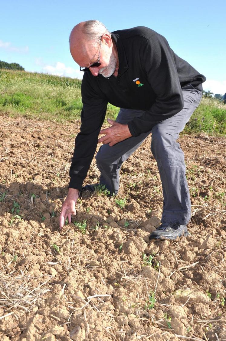 L’indice de fréquence de traitements (IFT) de Bruno Soenen est passé de 5,4 à 2,6 en 5 ans. Sa consommation de carburant est également en baisse. L’agriculteur l’estime à 20 litres par hectare.  (DR)