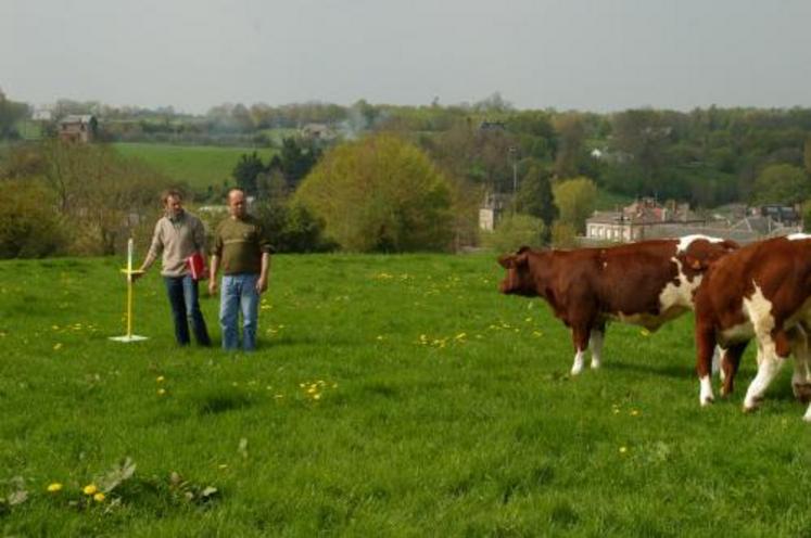 Augmenter le cheptel en nombre d’UGB tout en réduisant les achats (comme la luzerne) grâce à une optimisation de l’exploitation de l’herbe : l’équivalent de 140 e de marge brute par vache.