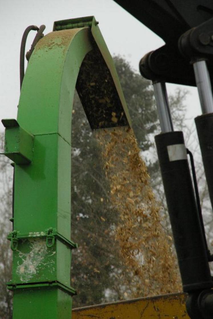 Reste encore à inventer le modèle économique de cette jeune filière bois-énergie.