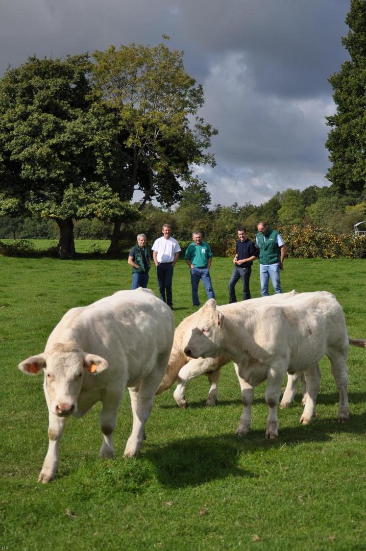 Guy Toutain, Hugues Bonhomme, Jean-Pierre Dollion et James Coispel étaient jeudi dernier en visite chez Fabien Fauquet. Le conseil d’administration du syndicat “Charolais” de l’Orne peaufine les derniers préparatifs de ce concours “homologué” herd-book.