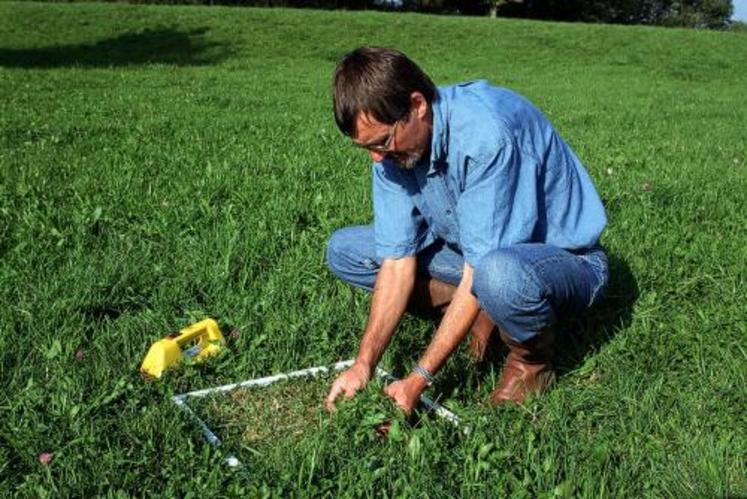 Un éleveur doit réaliser le diagnostic de ses prairies tous les quatre à cinq ans. Leur productivité et leur pérennité en dépendent.