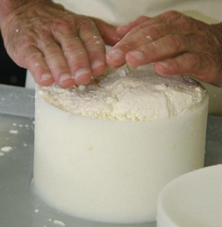 Le savoir-faire, indispensable pour fabriquer du fromage 
à la ferme.