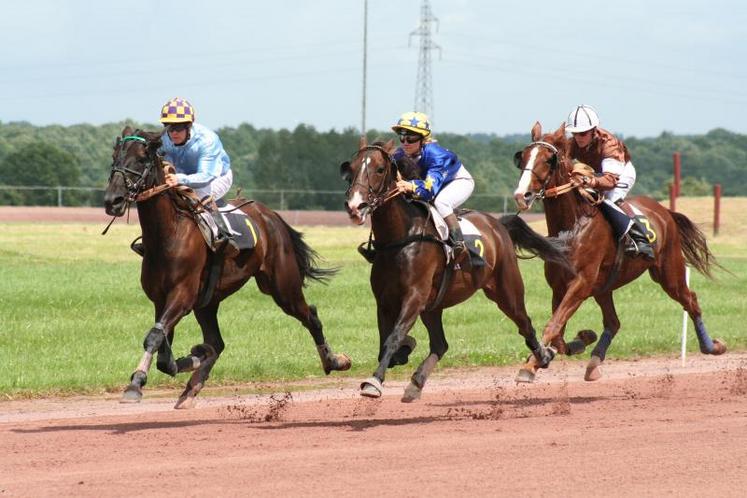 L’hippodrome de Lisieux-Pays d’Auge a la particularité d’accueillir les trotteurs et les galopeurs 
grâce à ses deux pistes (sable et herbe). Cette année, le vainqueur du 30e critérium cycliste rejoindra 
la piste de l’hippodrome pour disputer une course avec un trotteur. ( Hippodrome du pays d’auge).