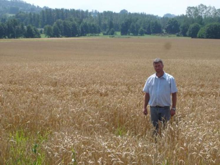 Les animations de la fête de l'agriculture seront regroupées dans cette parcelle de 7 hectares.