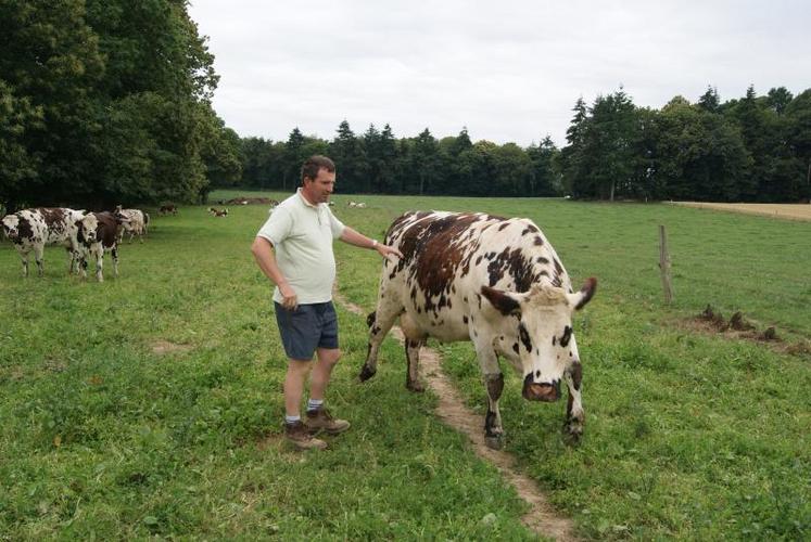 Dominique Lechat, éleveur depuis 1996, trois de ses laitières iront au prochain Space.