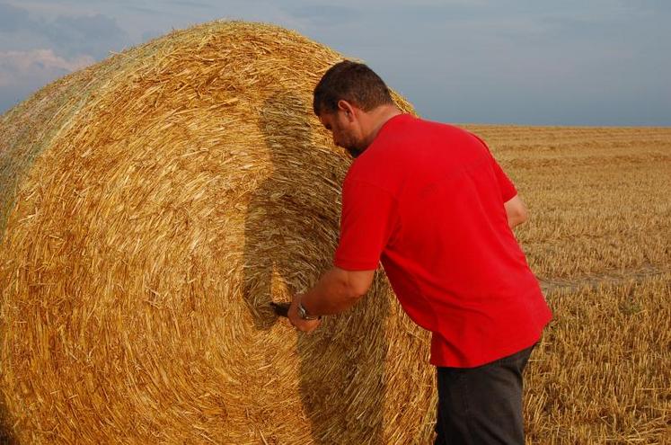 Humidité : le record à subi les caprices de la météo.