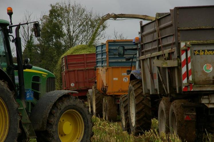 Les sols sont fortement sollicités par le trafic des matériels de récolte et de transport.