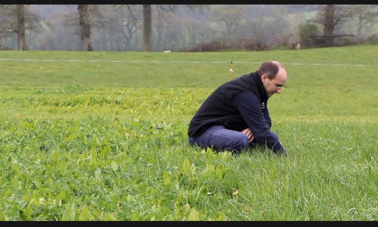 Pierre-Vincent Protin, responsable du service agronomique du pôle agriculture d’Agrial.