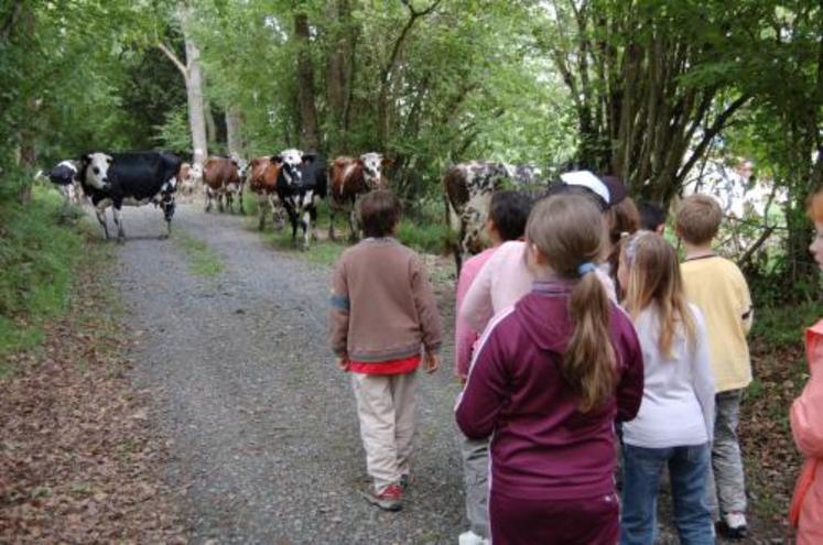 Arrivés à 10 h, les enfants sont repartis à 14 h 30.