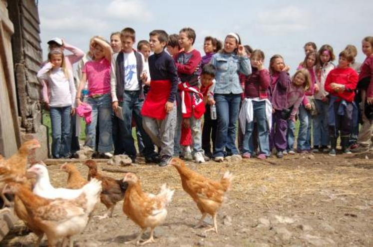 Clément Lebrun : “je gère la pousse de l’herbe. Si les vaches n’ont pas assez à manger, elles ne produisent plus de lait”.