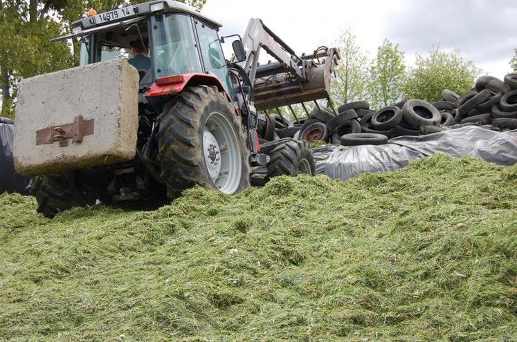 L’exploitation mise sur un mélange ray grass anglais, fétuque et trèfle blanc. 5,5 t/MS/ha, c’est la quantité moyenne de matière sèche récoltée dans les prairies lors de la campagne 2009.