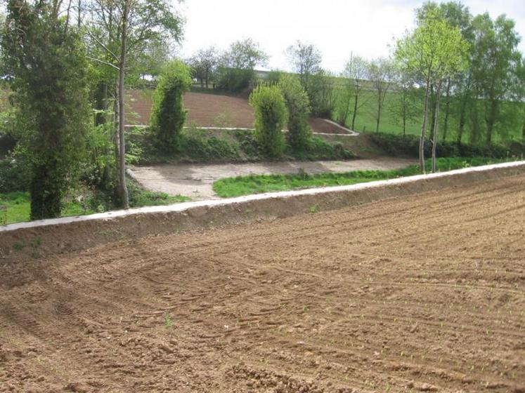 Exemple de création de haies sur  talus en ceinture de vallée.