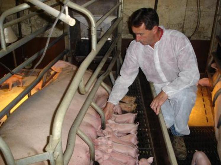 La Basse-Normandie représente 5 % de la production nationale.
L'Orne 1 %.