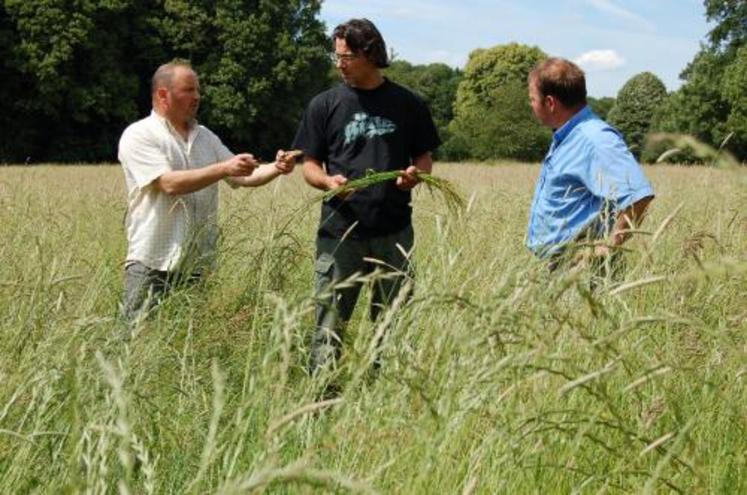 Herbe et rentabilité. “En dessous de 4,5 tonnes de matières sèches à l’hectare, il faut se poser des questions sur ses techniques. Ce n’est plus valable”, explique Arnaud et Christophe Griere autour de Pascal Rougier, technicien spécialisé en agriculture biologique..