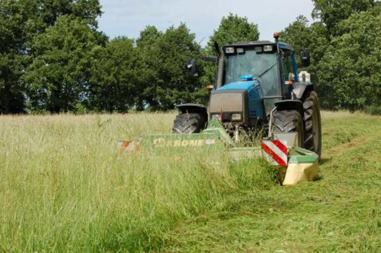 “Parcelle fauchée ou parcelle pâturée : le résultat n’est pas le même. Nous avons encore une mauvaise flore car les prairies ont été mal pâturées pendant des années”,