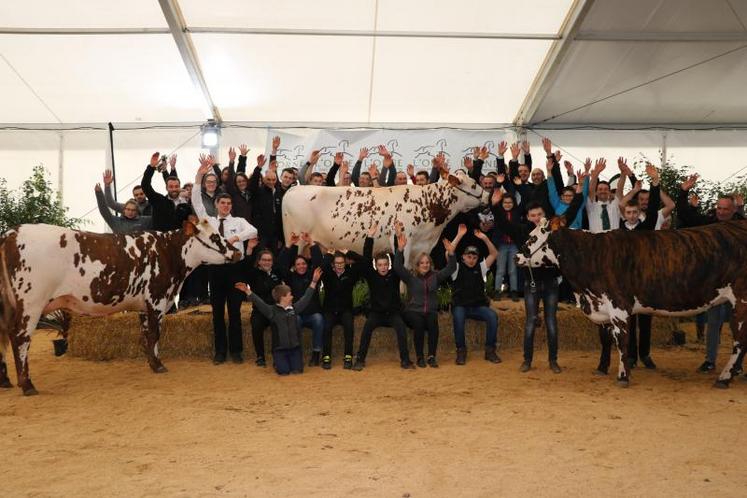 Les éleveurs du concours départemental de la race Normande posent autour de la meilleure femelle du concours, Hiroshima (au centre) ; Muscade (à gauche), prix challenge espoir, deux vaches du Gaec Enjalbert, et Naturelle, prix d'honneur femelle.