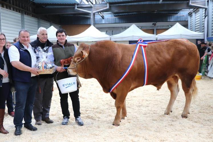 Nuptial est Champion mâle adulte. Son propriétaire, M. Langin, du Gaec de la Vicomté d’Auge a également remporté le prix de la Championne bouchère adulte avec Moutarde.