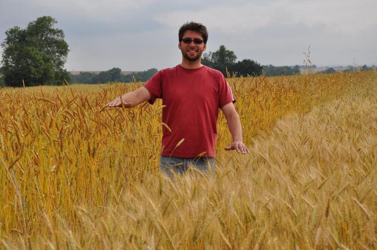 Guillaume Charpentier a implanté un blé paysan dont la hauteur détonne dans les champs.