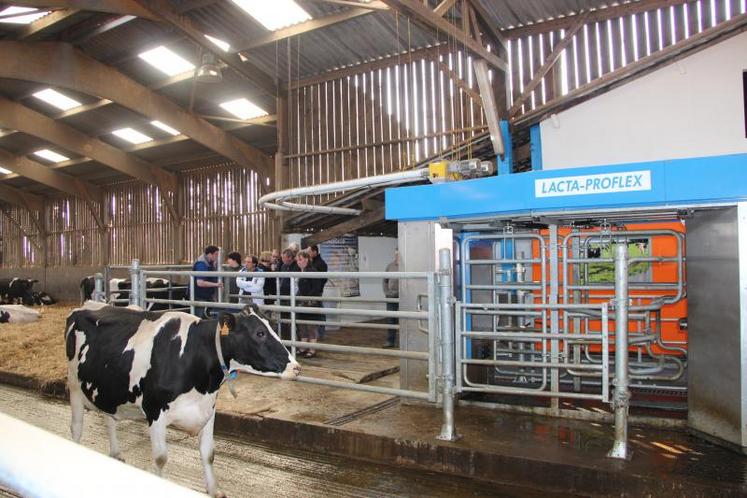 A l’EARL du Paimblanc (Isigny le Buat, Manche), les vaches sont désormais rôdées au robot de traite bras arrière.