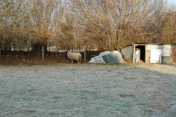 Les contrôles ont surtout porté sur l’identification des animaux.