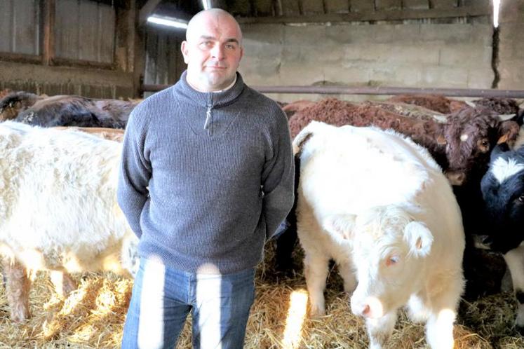 Christophe Cougé est installé au Merlerault dans un système vaches laitières (313 000 l de lait) et vaches allaitantes et cultures. DR