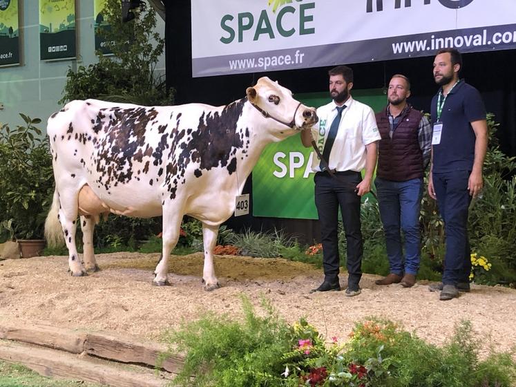 Jalma en copropriété du Gaec de la Bissonnière (72) et du Gaec Lahaye (14) devient la championne adulte et la réserve de la grande championne.