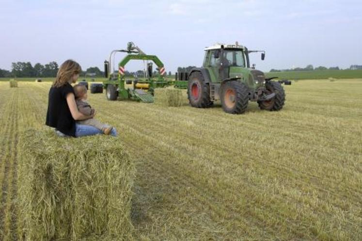 Plusieurs centaines de références.