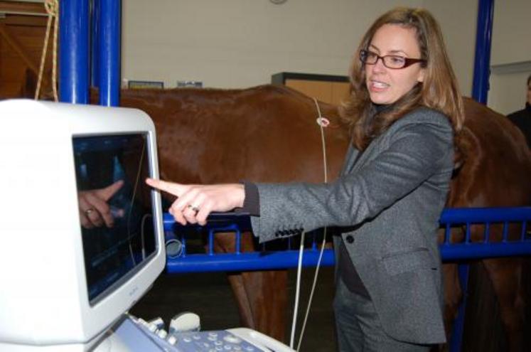 L’échocardiographie. Le Docteur Emmanuelle Van Erck vient de Liège (Belgique) pour assurer les consultations. Elle est responsable de cette nouvelle unité de médecine sportive.
