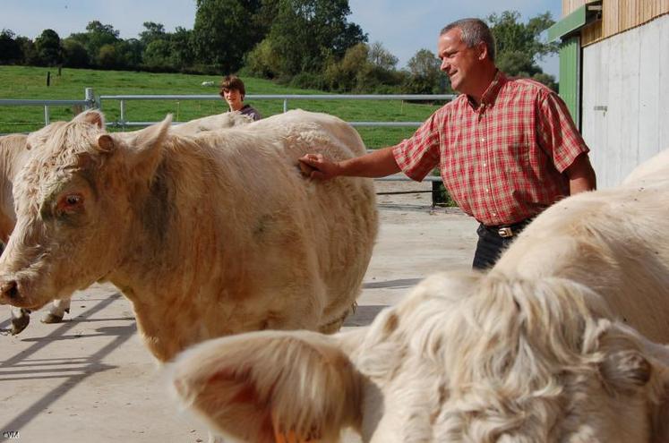 L’exploitation compte 250 brebis et 30 vaches allaitantes. “Les deux cheptels se complètent bien. L’hiver, les moutons nettoient les prairies et nécessitent peu de travail, contrairement aux vaches. L’été, avec les agnelages, c’est l’inverse”.