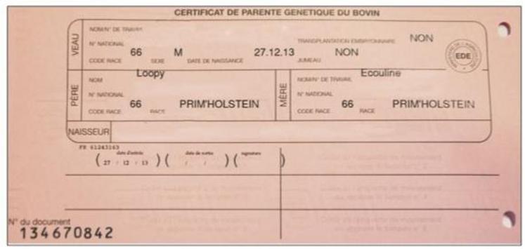 Information de certification des filiations au dos d’un passeport.