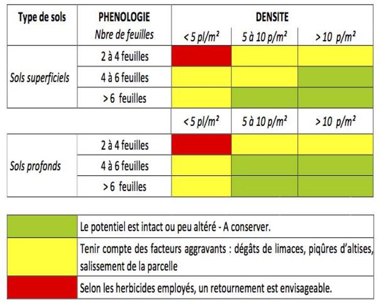 Eléments d’évaluation du peuplement du colza à la fin du mois d’octobre