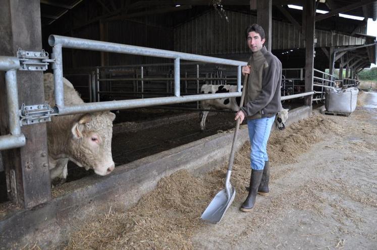 “Avec l’assurance-récolte, on assure la campagne laitière. En cas d’aléas climatiques, on n’est pas obligé de courir après la nourriture”.