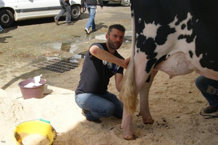 Pascal, l'un des associés du gaec Leclerc (Manche), qui remporte trois premiers prix de sections en PH, bichonnait déjà ses animaux mardi au Space.