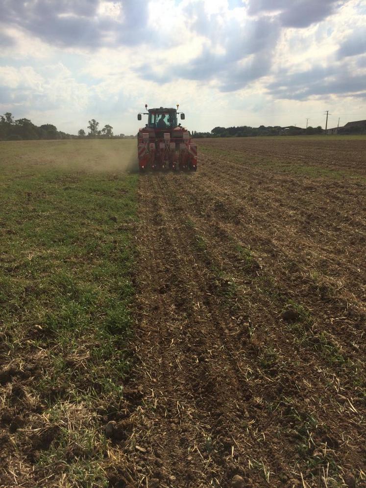 Implantation du colza au strip-till chez Frédéric Lecerf le 25 août 2016.