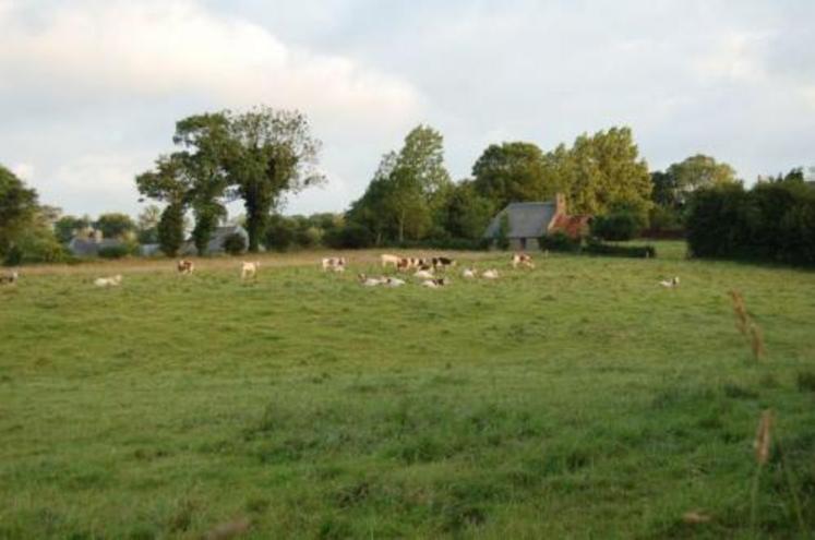 Les communes du Sud Manche, où les cultures sont développées et où le quota moyen à l’hectare est plus élevé ressortent comme étant mieux dotées.